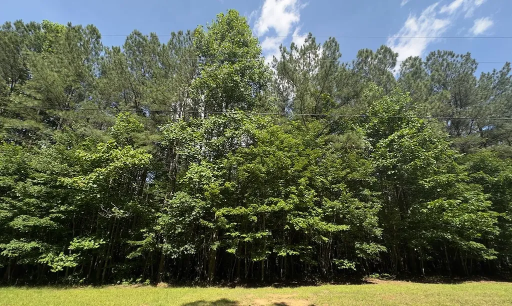 0 Hickory Nut Trail Spencer TN 38585