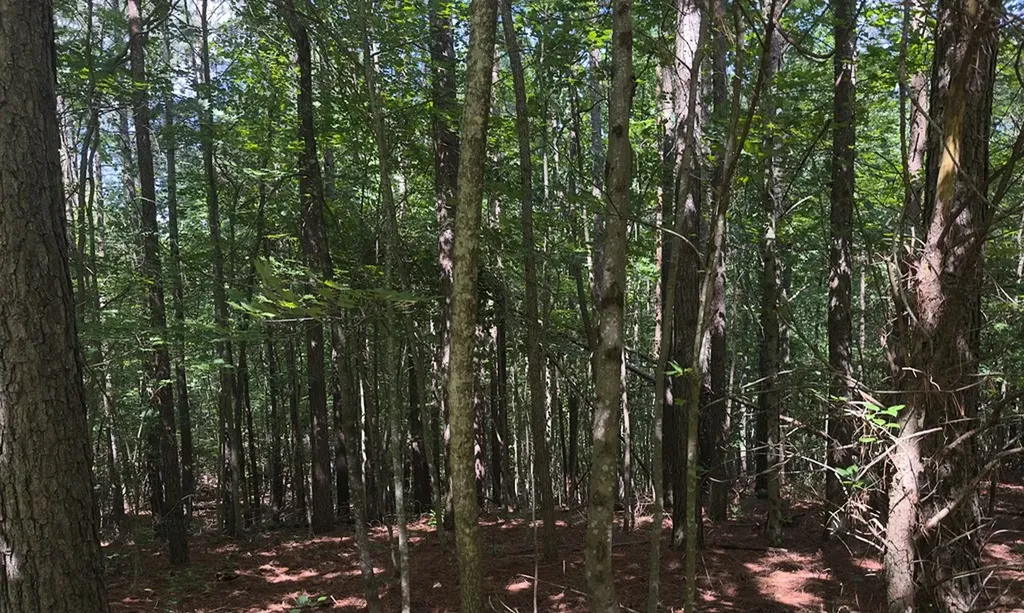 0 Hickory Nut Trail Spencer TN 38585