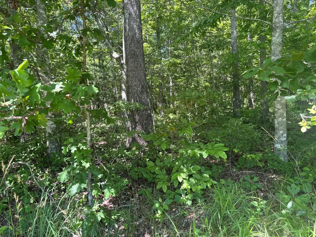 Lot 254 Buck Circle Spencer TN 38585