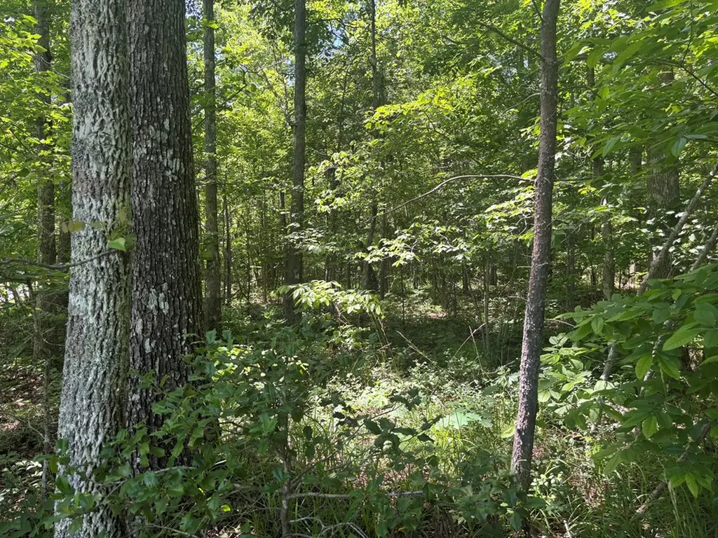 Lot 254 Buck Circle Spencer TN 38585