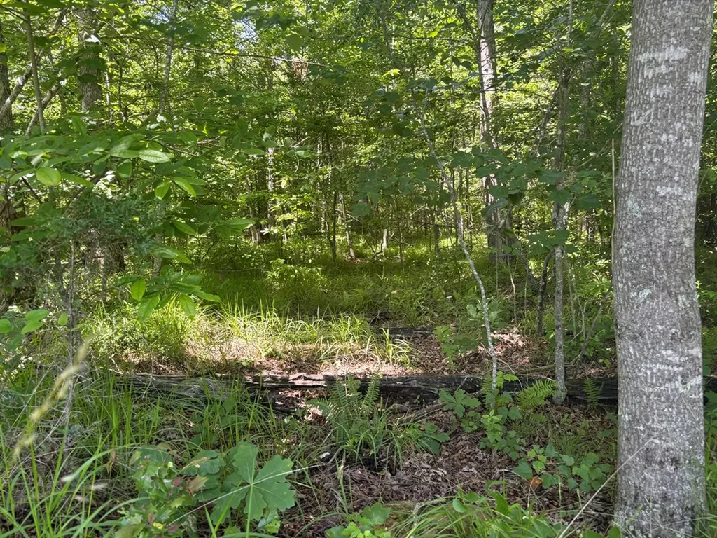 Lot 254 Buck Circle Spencer TN 38585
