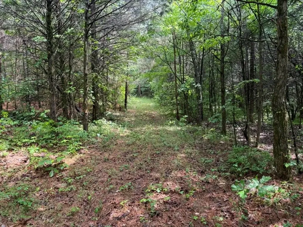 02 Smoot Road Morrison TN 37357