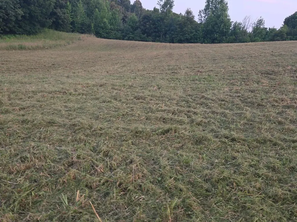 Lot 24 Summer Breeze Drive Smithville TN 37166