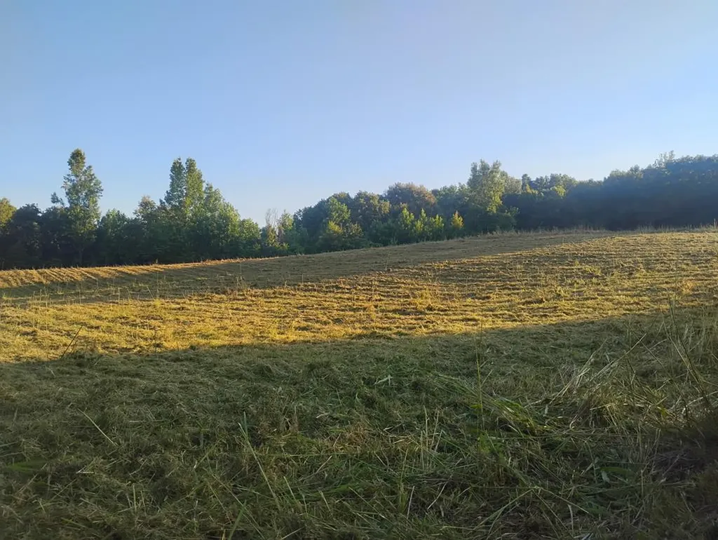 Lot 24 Summer Breeze Drive Smithville TN 37166