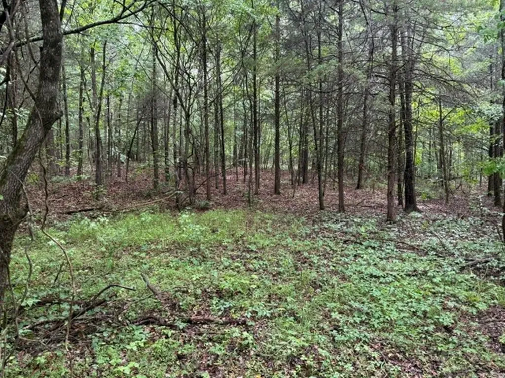 01 Smoot Road Morrison TN 37357