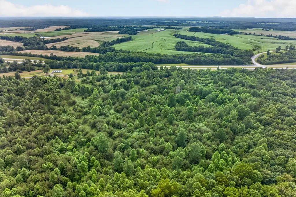 27 Ac Flatbush Lane Spencer TN 38585