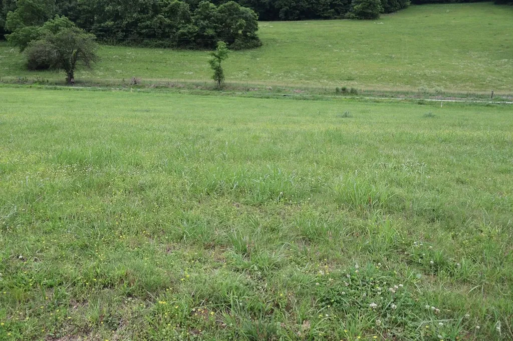 0 Pleasant Shade Hwy Lots 7 & 11 Pleasant Shade TN 37145