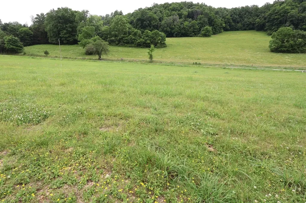 0 Pleasant Shade Hwy Lots 7 & 11 Pleasant Shade TN 37145
