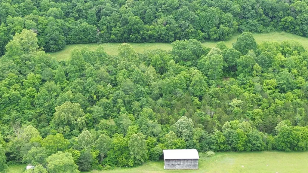 0 Pleasant Shade Hwy Lots 7 & 11 Pleasant Shade TN 37145