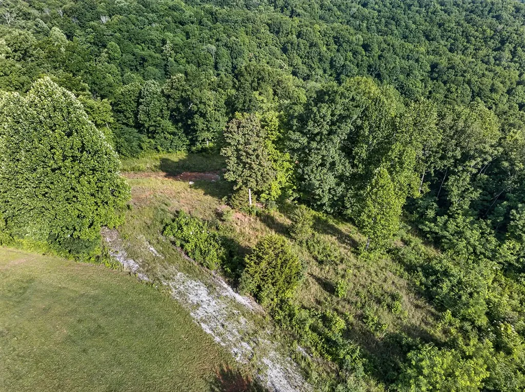 2.26 Ac Hidden Cove Lane Allons TN 38541