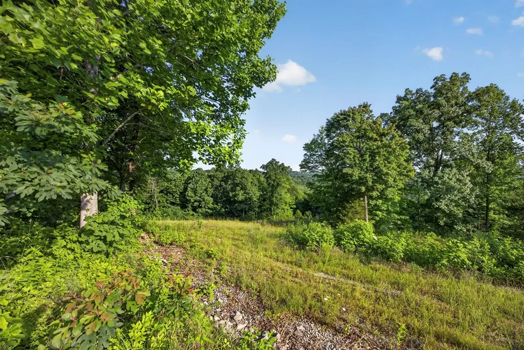 2.26 Ac Hidden Cove Lane Allons TN 38541