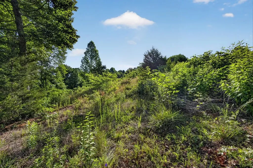 2.26 Ac Hidden Cove Lane Allons TN 38541