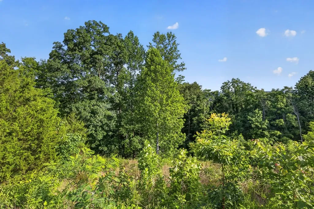2.26 Ac Hidden Cove Lane Allons TN 38541