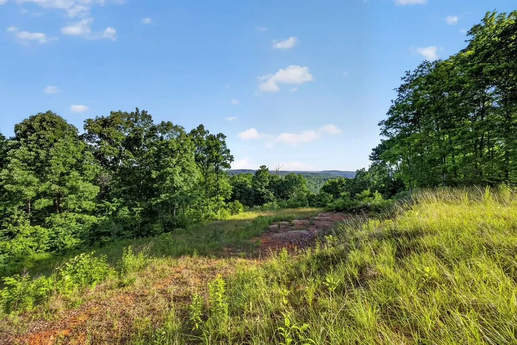 2.26 Ac Hidden Cove Lane Allons TN 38541