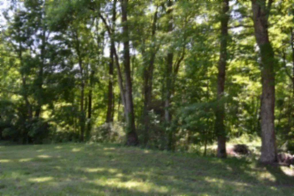 318 Rock Springs Road Celina TN 38551
