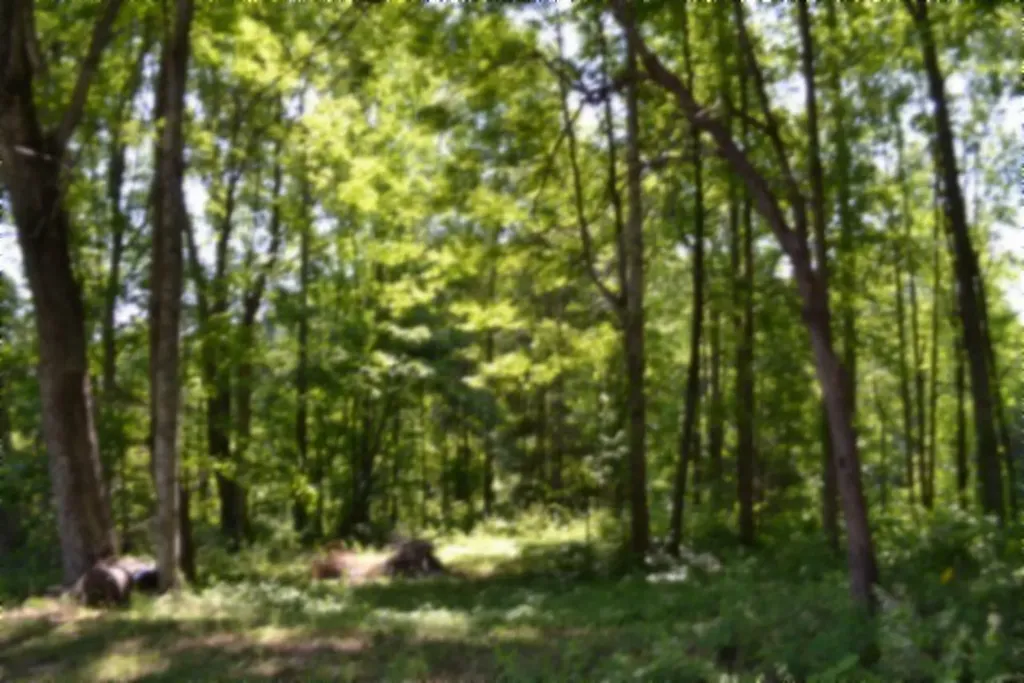 318 Rock Springs Road Celina TN 38551