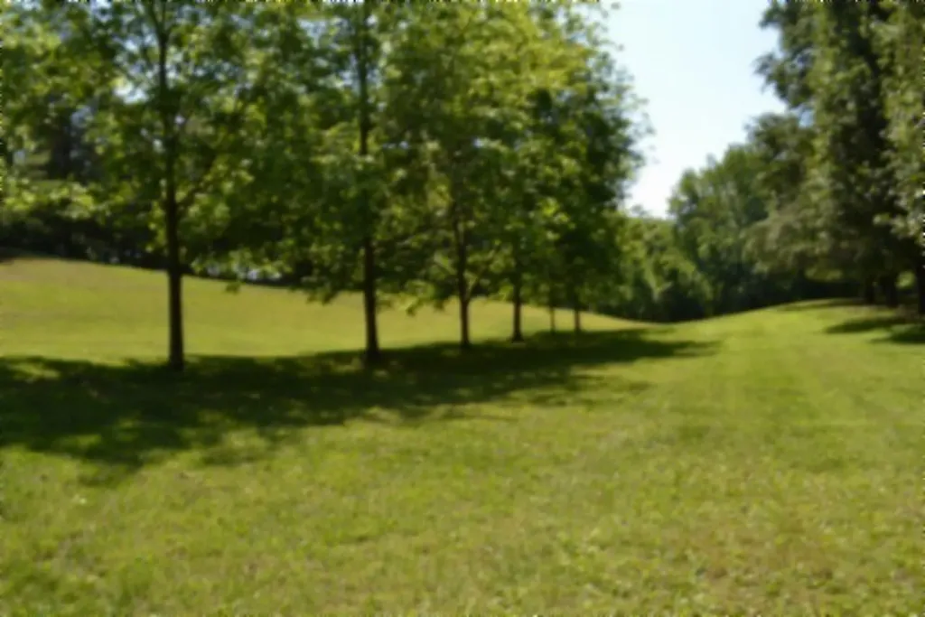 318 Rock Springs Road Celina TN 38551