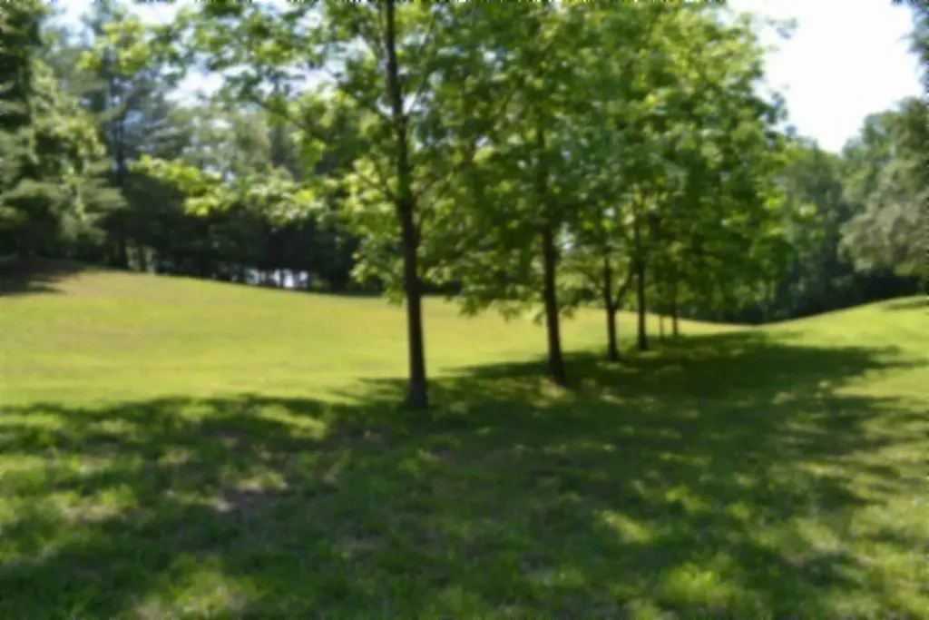 318 Rock Springs Road Celina TN 38551
