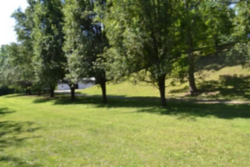 318 Rock Springs Road Celina TN 38551