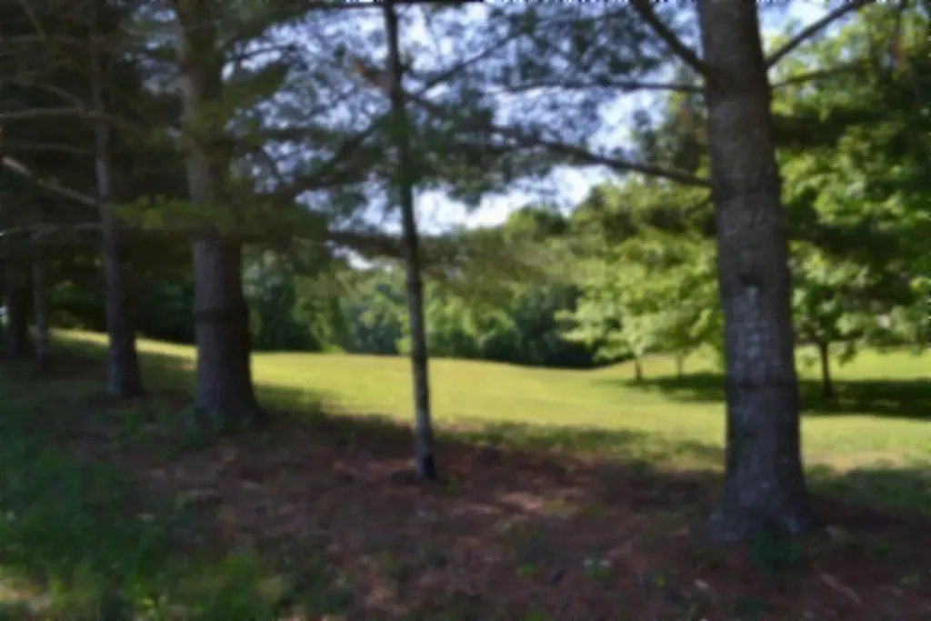 318 Rock Springs Road Celina TN 38551