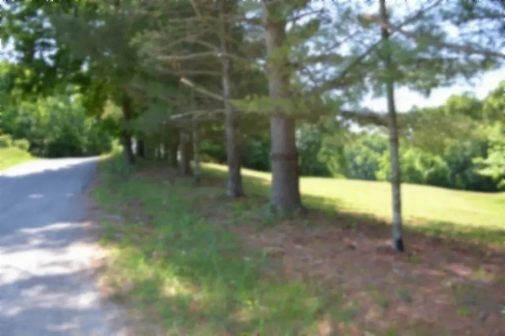 318 Rock Springs Road Celina TN 38551