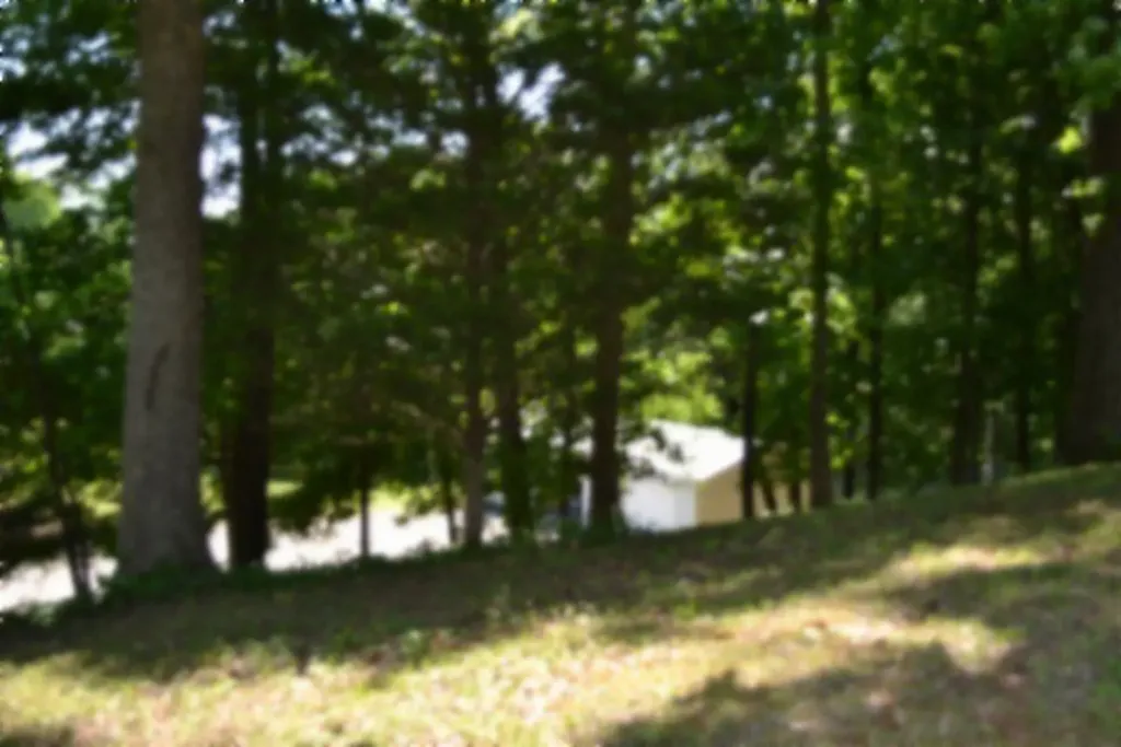 318 Rock Springs Road Celina TN 38551