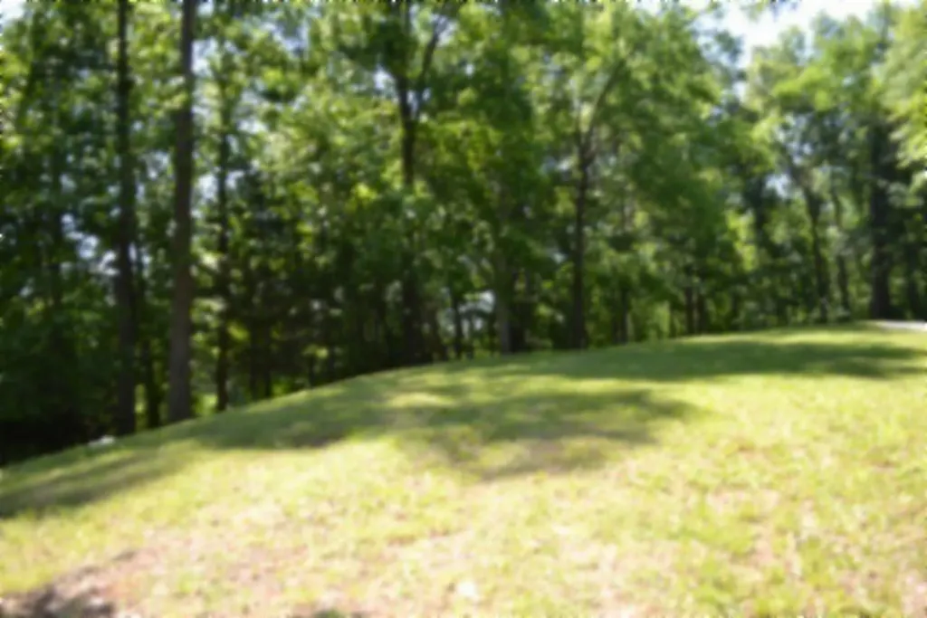 318 Rock Springs Road Celina TN 38551