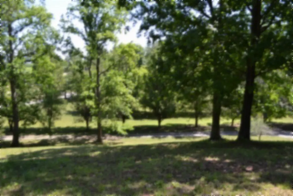 318 Rock Springs Road Celina TN 38551