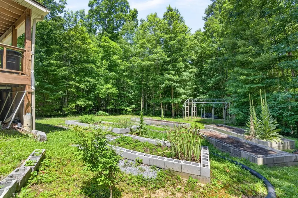 1007 Parkstown Extension Wilder TN 38589