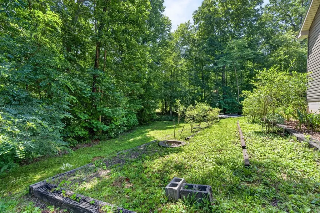1007 Parkstown Extension Wilder TN 38589