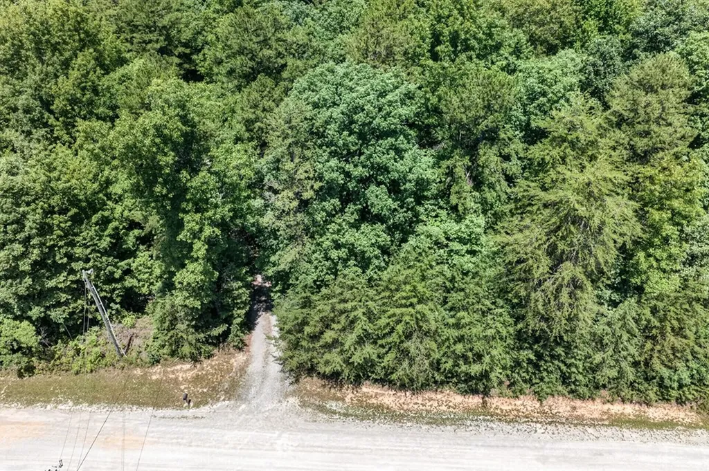 1007 Parkstown Extension Wilder TN 38589