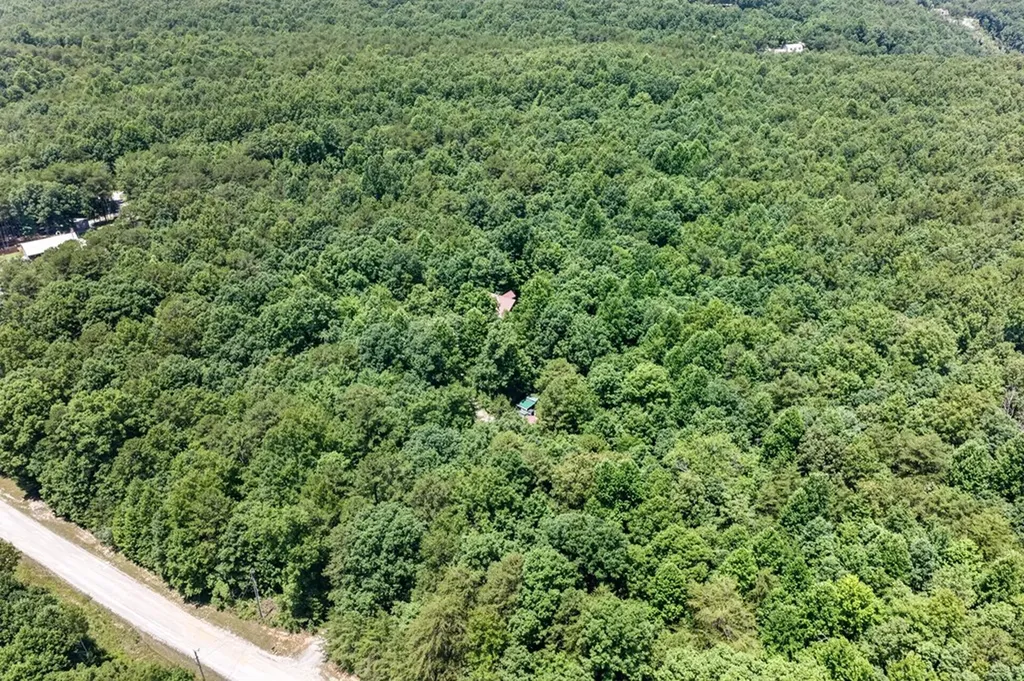 1007 Parkstown Extension Wilder TN 38589