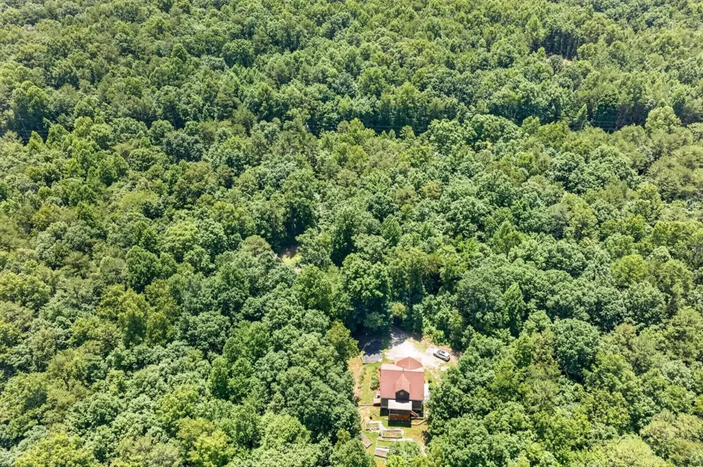 1007 Parkstown Extension Wilder TN 38589