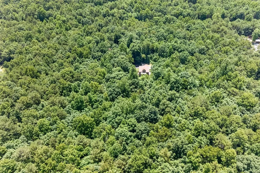 1007 Parkstown Extension Wilder TN 38589