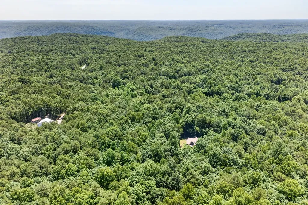 1007 Parkstown Extension Wilder TN 38589