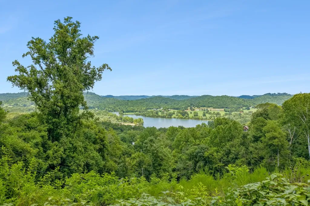 225 Grishom Lane Granville TN 38564