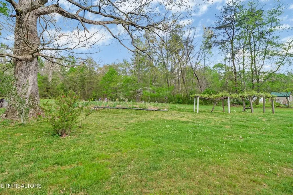1243 Franklin Loop (5 Acres) Clarkrange TN 38553-5175