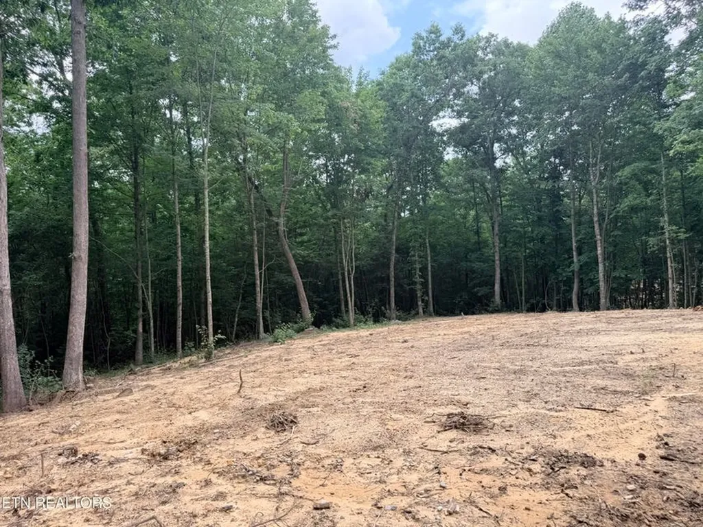 831 Remington Road (5 Acres) Jamestown TN 38556