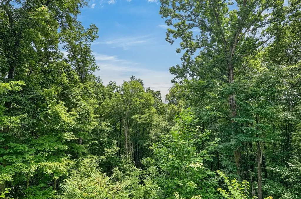 2946 Pen Hook Road Monterey TN 38574