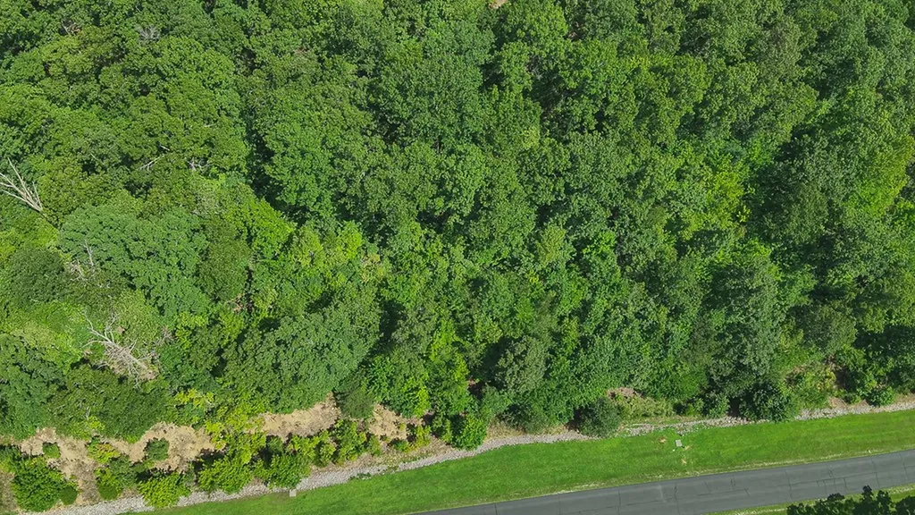 393 W Mountain Drive Rockwood TN 37854