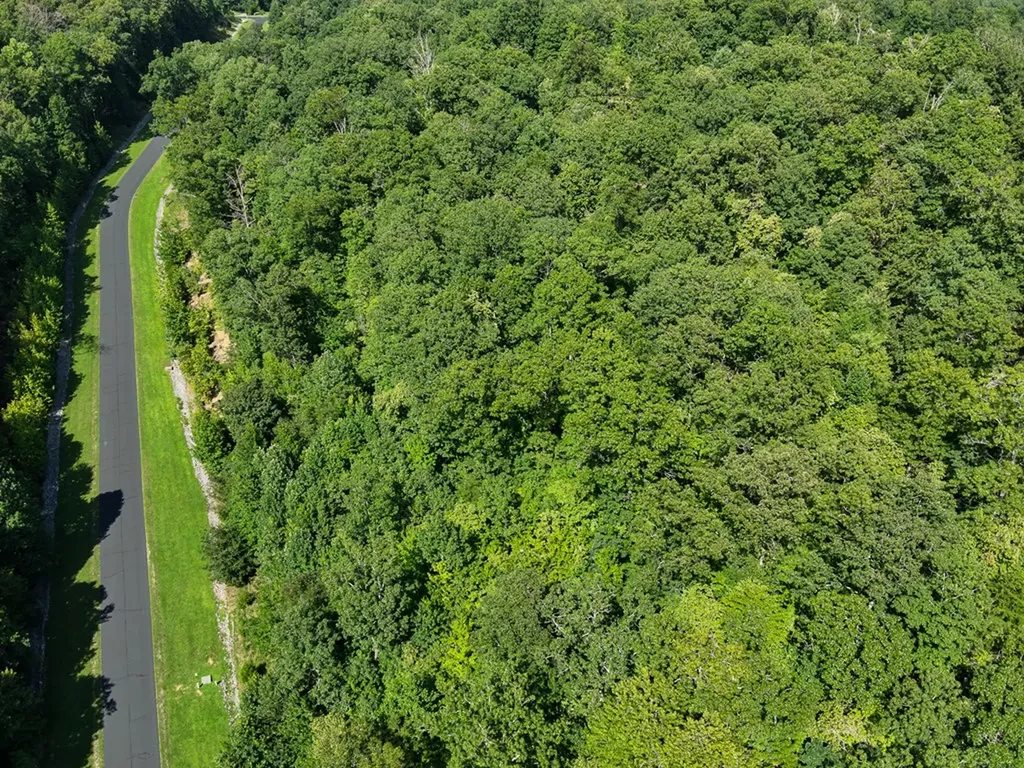 393 W Mountain Drive Rockwood TN 37854