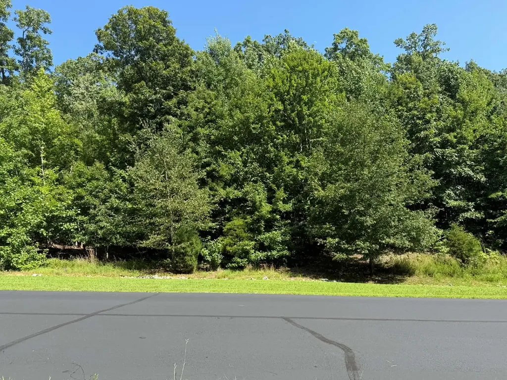 393 W Mountain Drive Rockwood TN 37854
