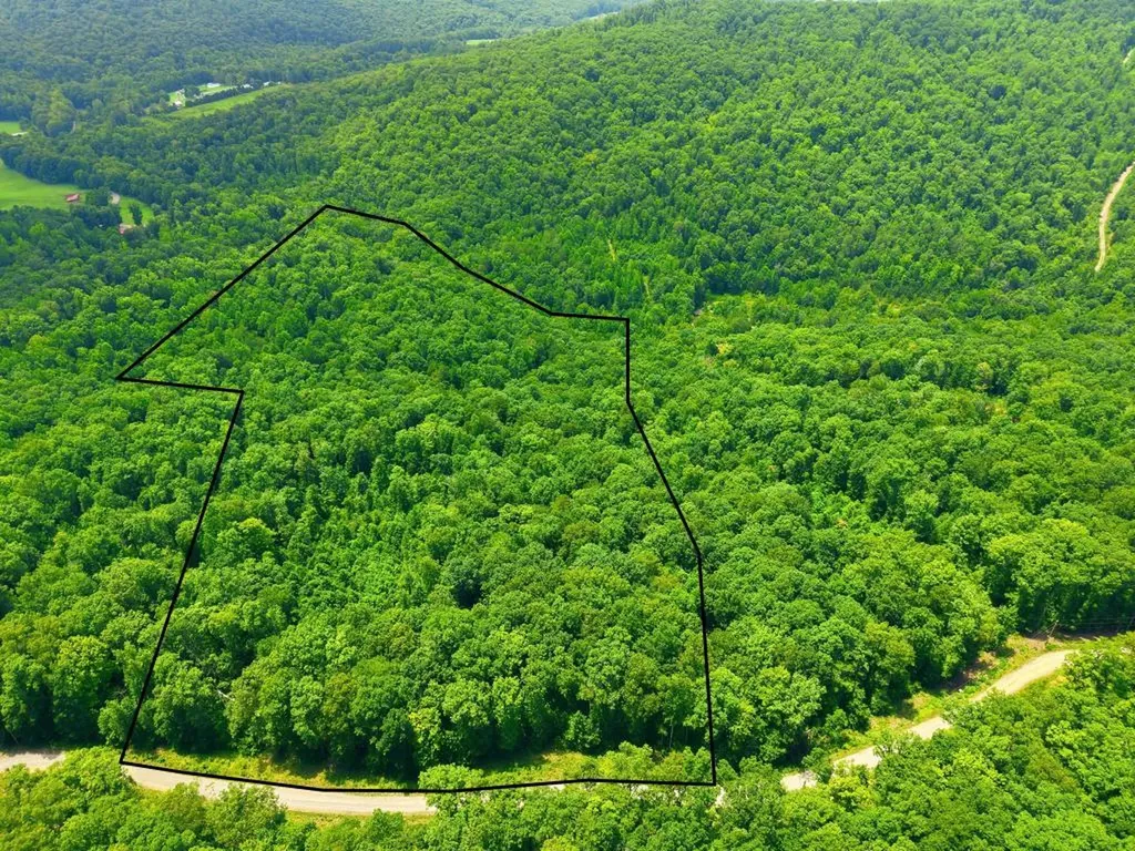 0 Tomahawk Road Jamestown TN 38556