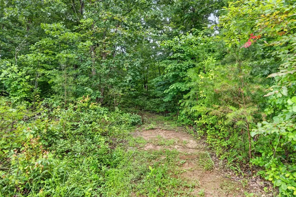 460 Jim Garrett Road Monterey TN 38574-3859