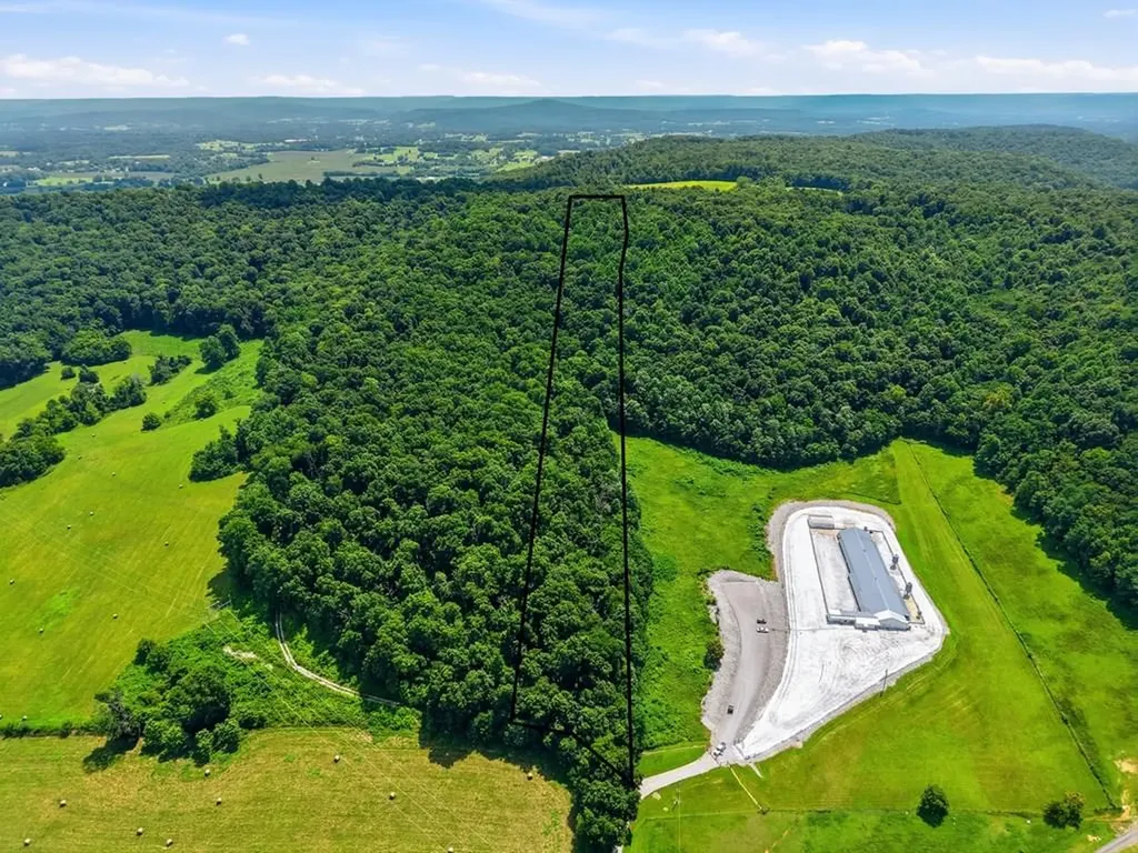 13 Ac Moore Cove Road Sparta TN 38583