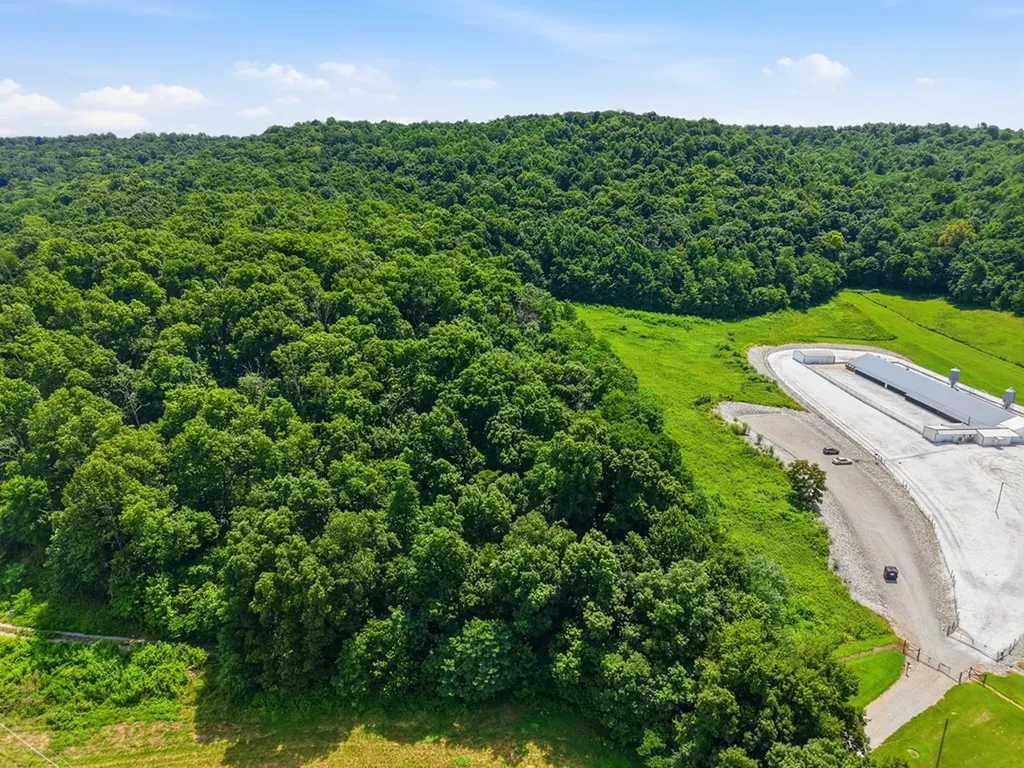 13 Ac Moore Cove Road Sparta TN 38583