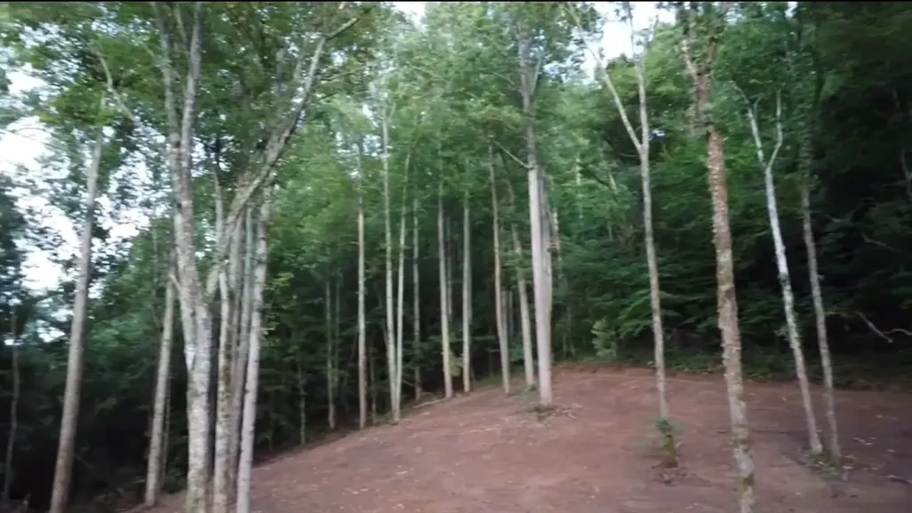 23.92AC Hix Hollow Road Gainesboro TN 38562