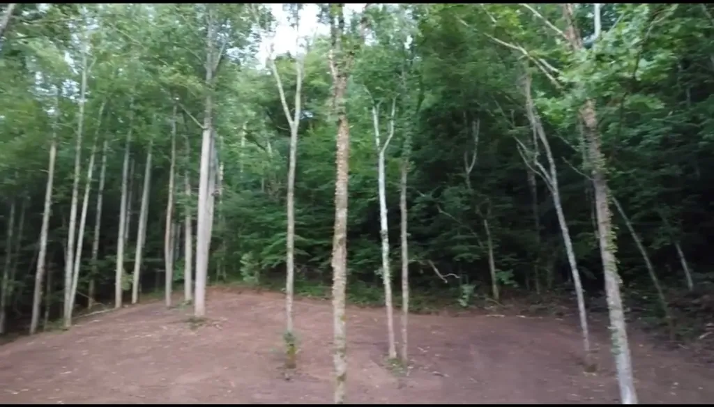 23.92AC Hix Hollow Road Gainesboro TN 38562