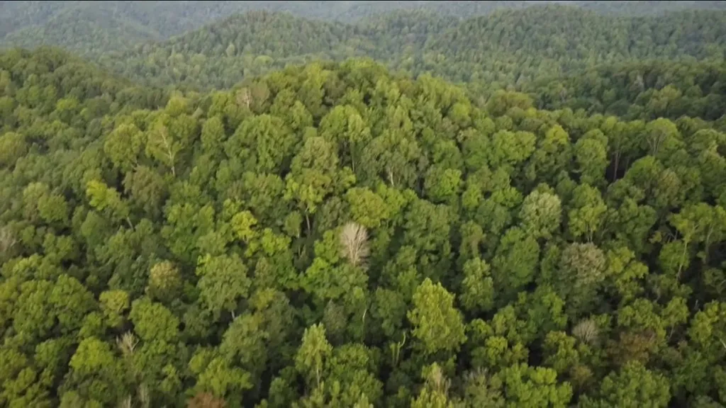 23.92AC Hix Hollow Road Gainesboro TN 38562