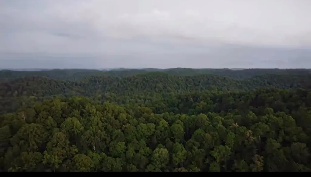 23.92AC Hix Hollow Road Gainesboro TN 38562